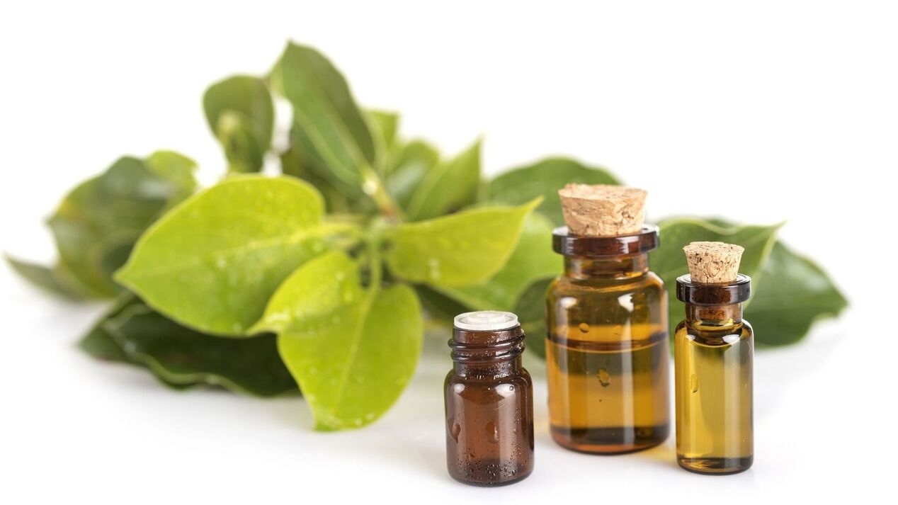 Camphore Extract in Hondroine Gel